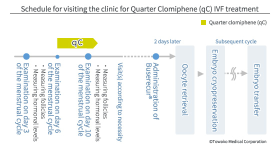 Schedule for visiting the clinic for Quarter Clomiphene(qC) IVF treatment