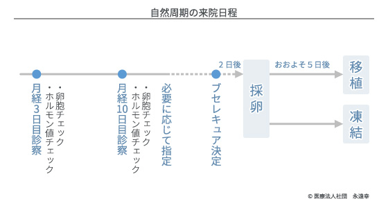 自然周期の来院日程