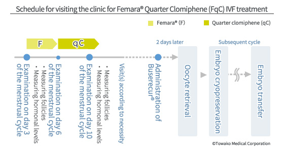 Schedule for visiting the clinic for letrozole®Quarter Clomiphene(LqC) IVF treatment