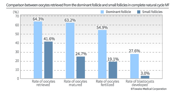 Comparison between oocytes retrieved from the dominant follicle and small follicles in complete natural cycle IVF