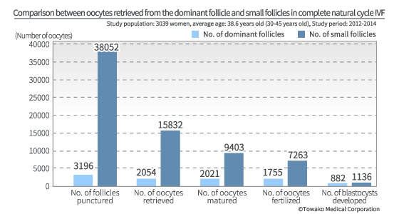 Comparison between oocytes retrieved from the dominant follicle and small follicles in complete natural cycle IVF