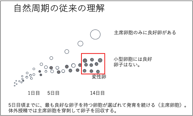 図1 自然周期（従来の理解）