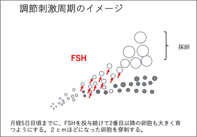 図2 調節過排卵
