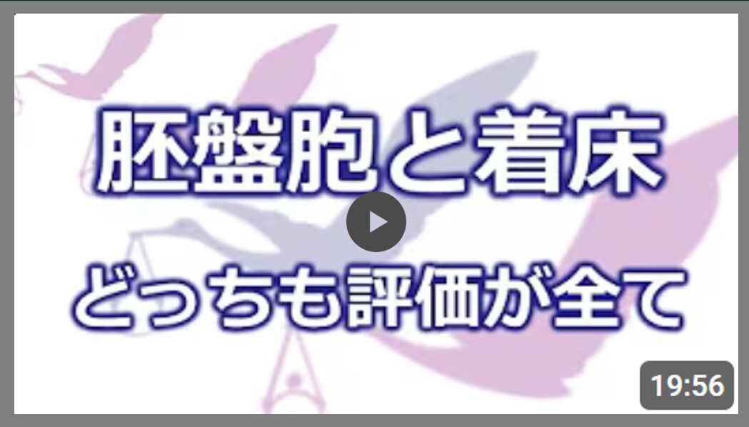胚盤胞と着床　どっちも評価が全て