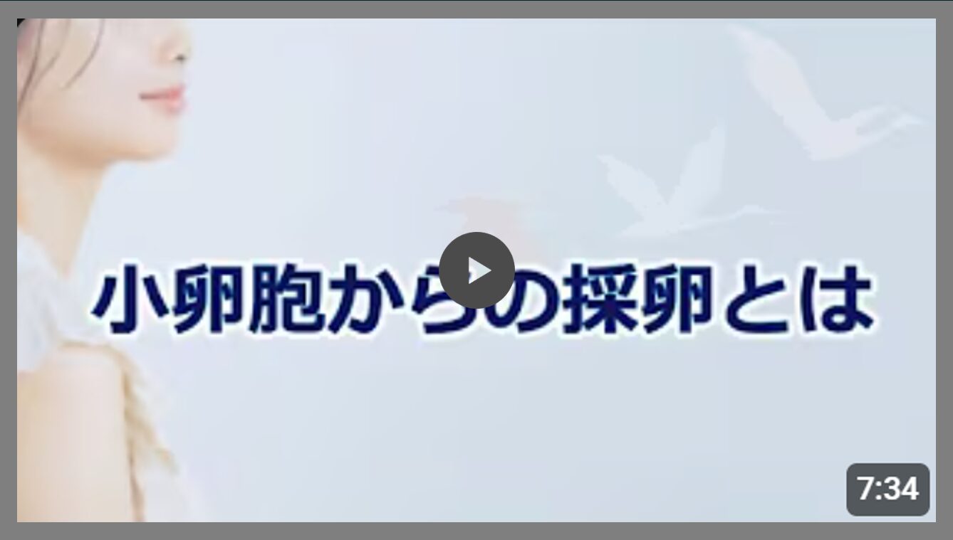 小卵胞採卵